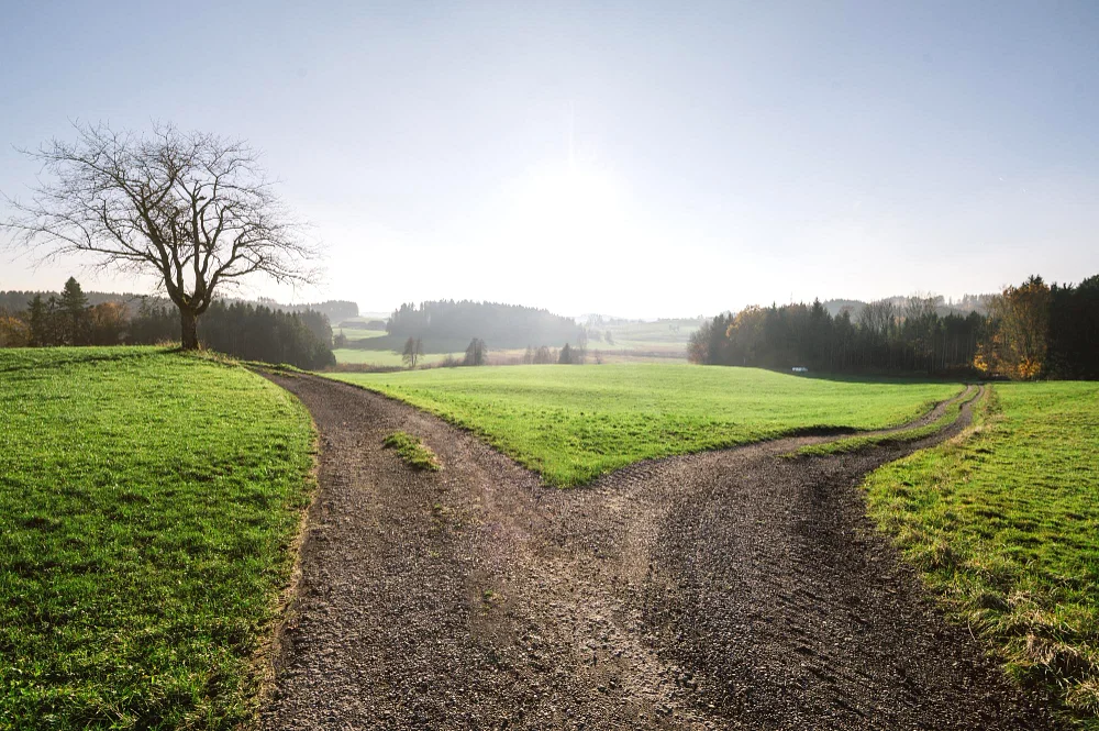 Służebność drogi koniecznej – koszmar inwestora czy formalność?